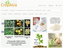 Tablet Screenshot of cropasia.com